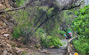 高市山區大豪雨 桃源累積降雨370毫米冠全市