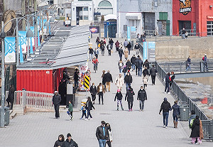 加拿大出現神秘疾病48患者中已6死 藻類毒素被疑是禍首