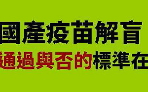 保護力不明 國產疫苗將解盲 劉宏恩：通過與否的標準在哪？