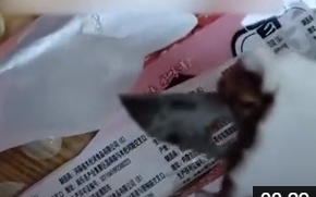 (影) 若不小心吞下去就穿腸破肚! 兒童吃雪糕竟吃出4公分刀片