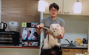 端午線上寵物鮮食粽on line 跟毛寶貝一起增強免疫力