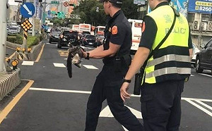 615警察節 新北動保處提供員警寵物免費施打疫苗