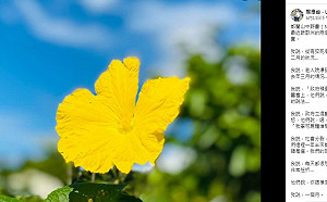 管仁健觀點》龍應台臉書透露的「丞相！起風了」