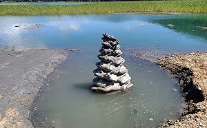 日月潭水庫蓄水量破1億噸！九蛙疊像終於喝到水了