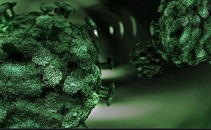 跟著新冠肺炎來 黃、白、黑真菌已經夠致命 印度又發現首例綠真菌病例