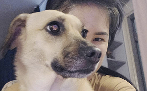 防疫開始寫日記！丹妮婊姐笑：關在家消費狗