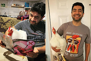 (影)咕咕雞個性「像狗又像貓」 愛討摸外還會守廁所！