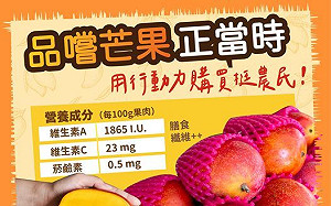 枋山芒果受疫情波及銷量大減 陳吉仲:要對抗的是病毒「全球無病毒透過食物傳播」