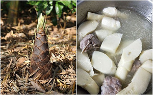 竹筍不要只會煮湯!婆媽曝「神級作法」:整鍋鮮甜吃光光