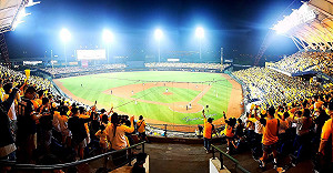 Delta病毒入侵 中職復賽延後 ：指揮中心未反對 但時間需討論