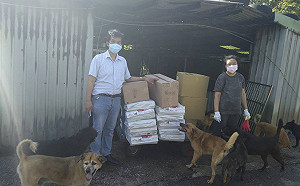 防疫期間動保不停歇 新北毛寶貝幸福委員會助5500隻狗安飽