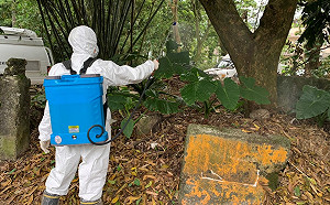 查獲4件違法環境用藥含「滅蟻樂」!環保署:最高可罰150萬