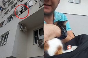 (影)貓咪「高掛曬衣繩」動彈不得　善心民眾看準時機神救援！