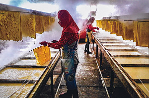 萬和宮推動文化藝術獲回響 4位名家贈送作品各具特色