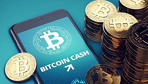 比特幣將捲土重來！專家分析未來將成穩定資產