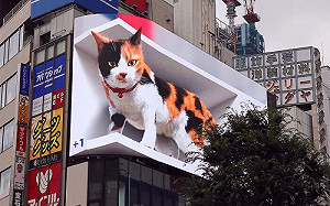 (影)東京出現「巨大三花貓」　與路人互動讓人想大喊卡哇伊！