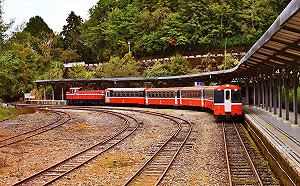 二級警戒》延長至8/23！林務局：阿里山鐵路、嘉明湖露營明起開放申請