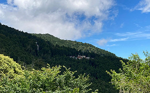 微解封》阿里山森林遊樂區13日起開放部分場域