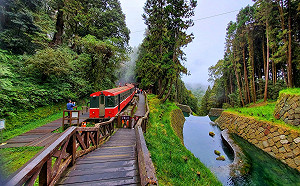 微解封》安全又美觀！阿里山新八景「神怡流瀑」整治後宛如仙境