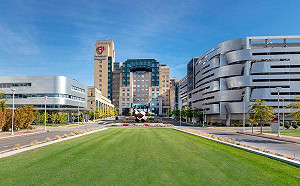 大烏龍! 美國大學醫院做腎移植手術搞錯病人 相關醫護被停職調查