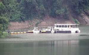 單日進帳113萬噸!鯉魚潭水庫距離滿水位只差3米