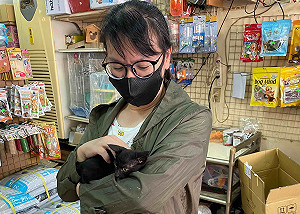 新北中和動物之家半年救援212件 橋中貓驚險獲救再添1例