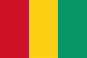 繼北韓後第二個！西非幾內亞「因疫情考量」宣布退出東京奧運