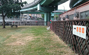 北市狗運動公園明天開放!飼主需保持2公尺社交距離
