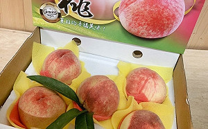 梨山水蜜桃產季到了！公路總局：7/15起中橫便道加開夜間通行