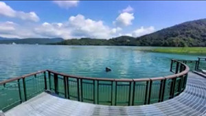 (影)日月潭新水蛙頭平台明解封！現場直播讓你在家同步一睹九蛙之美