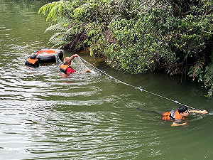 「生態殺手」魚虎現蹤基隆情人湖!北觀處展開人工抓捕