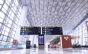 Delta肆虐印尼!122台僑返國包機下午17時起飛 台商會:可能安排2次包機