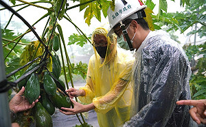 高雄農損估計近3千萬 陳其邁交代公所「農民只要拍照就可申請補助」