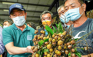 嘉義農損近4500萬元 翁章梁：做田人遇到歹年冬的悲哀