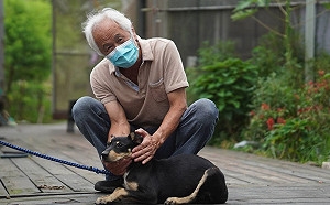 淡水忠寮市民農園認養農場守護犬 榮膺新北金牌農村