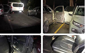 小熊冒險記！ 美國科州小熊夜偷開車門「闖入」8輛車