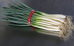 一斤120元！連日大雨青蔥價格飆漲  8月底菜價才會回穩