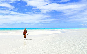 台帛旅遊泡泡814重啟！2000劑疫苗3種可選.加送50元美金