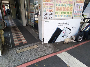 新北籲飼主炎熱偕毛寶貝散步 慎防中暑變植物狗