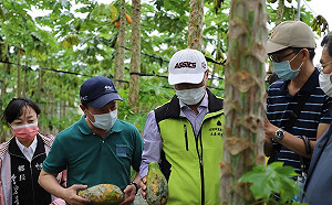 南台灣豪雨農損達4億！農委會：農民災害逾2成就可請領現金救助