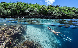 華航搶攻高雄旅展商機！帛琉旅遊現折2000元