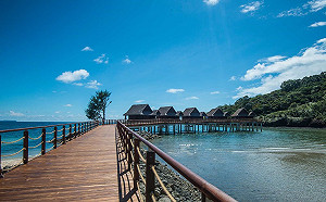 旅遊泡泡喊卡！帛琉累積確診651例 陳時中：即起升三級旅遊警告