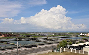 推漁電共生  張麗善：「三不三要」原則   打造全台最大「公民電廠」