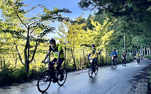 三天爬升2000公尺  15自行車友攻上福壽山農場天池