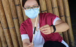 新北十三行「筆刷怪」帶你勇闖史前世界