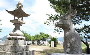 「紙本疫苗認證」台日洽談中！陳時中：很快會有結果