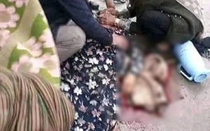 神學士處決少女 民進黨婦女部說話了：阿富汗女權需要世界強力關注