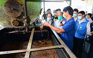 桃園勤查166廚餘養豬場 高溫蒸煮不合格者最高可罰300萬元