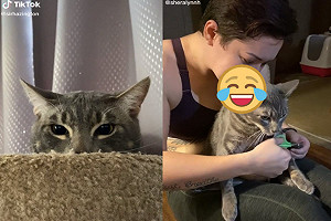 貓奴使出超狂「妙招」輕鬆替主子剪指甲　網笑：不痠嗎？