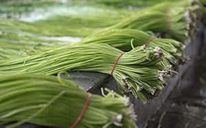 炒水蓮總是黏一起？1關鍵秒爽脆